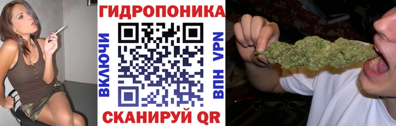 где купить наркотик  mega ССЫЛКА  Конопля гибрид  Грайворон 